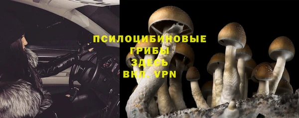 МДМА Арсеньев