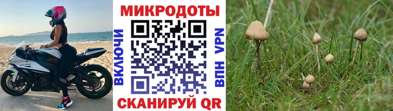 Псилоцибиновые грибы мицелий  Унеча 